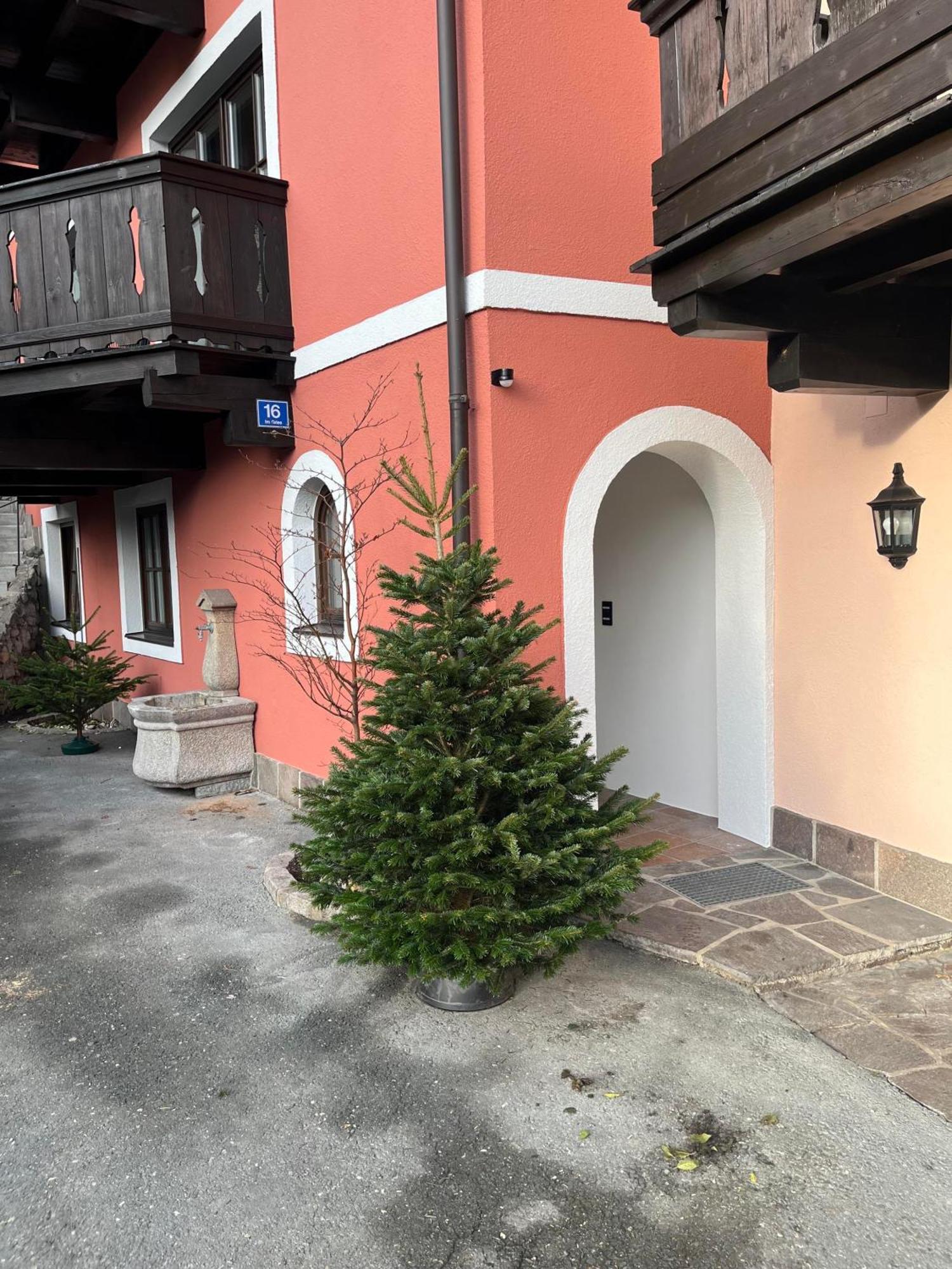 Appartement Mountain King